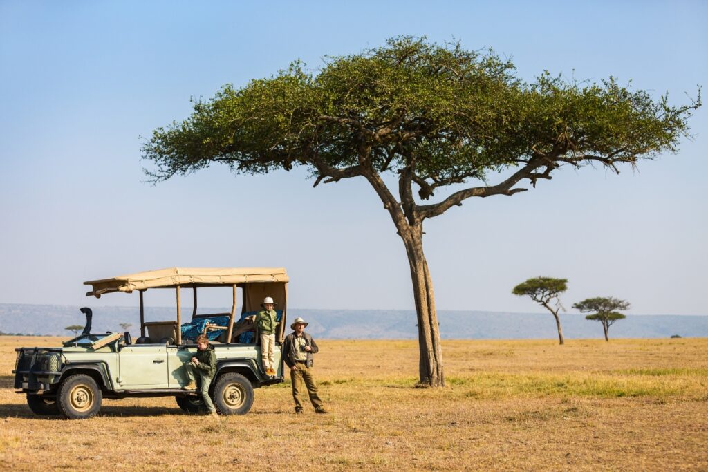 safari