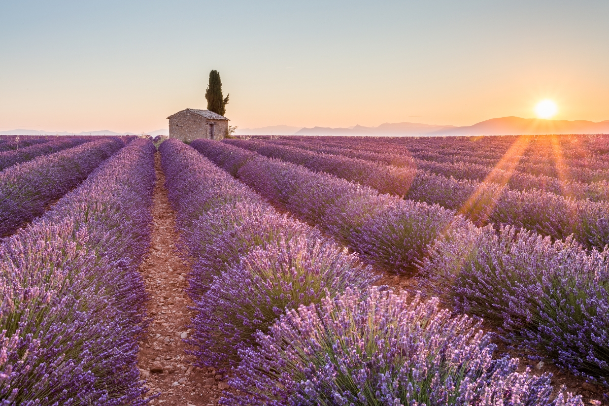 Saint remy de provence