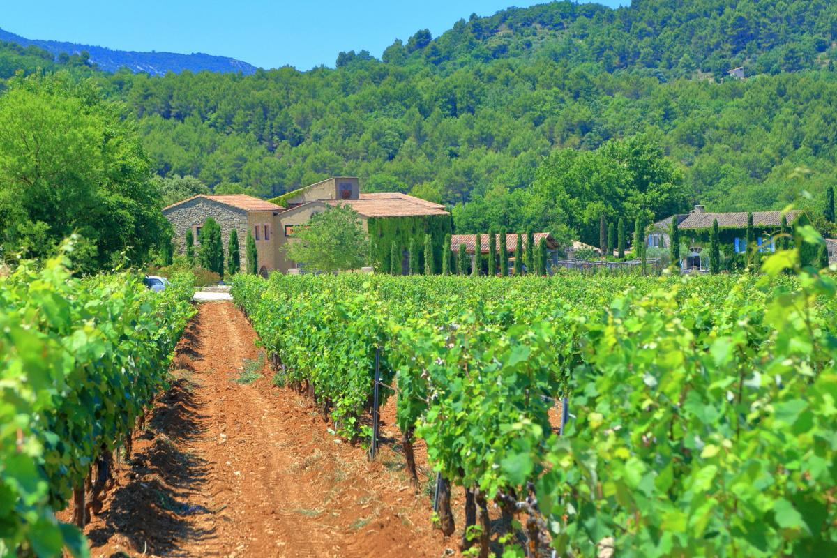 Vignoble du Luberon