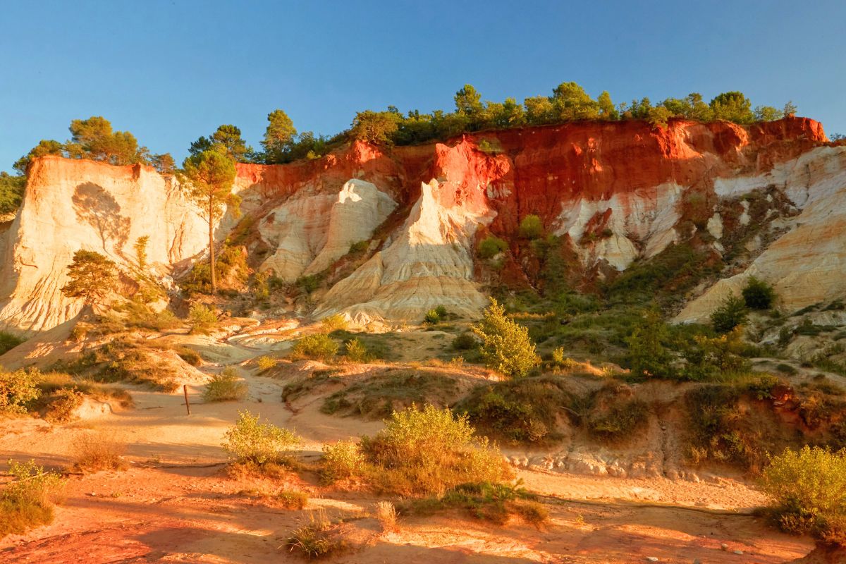 Colorado Provencal