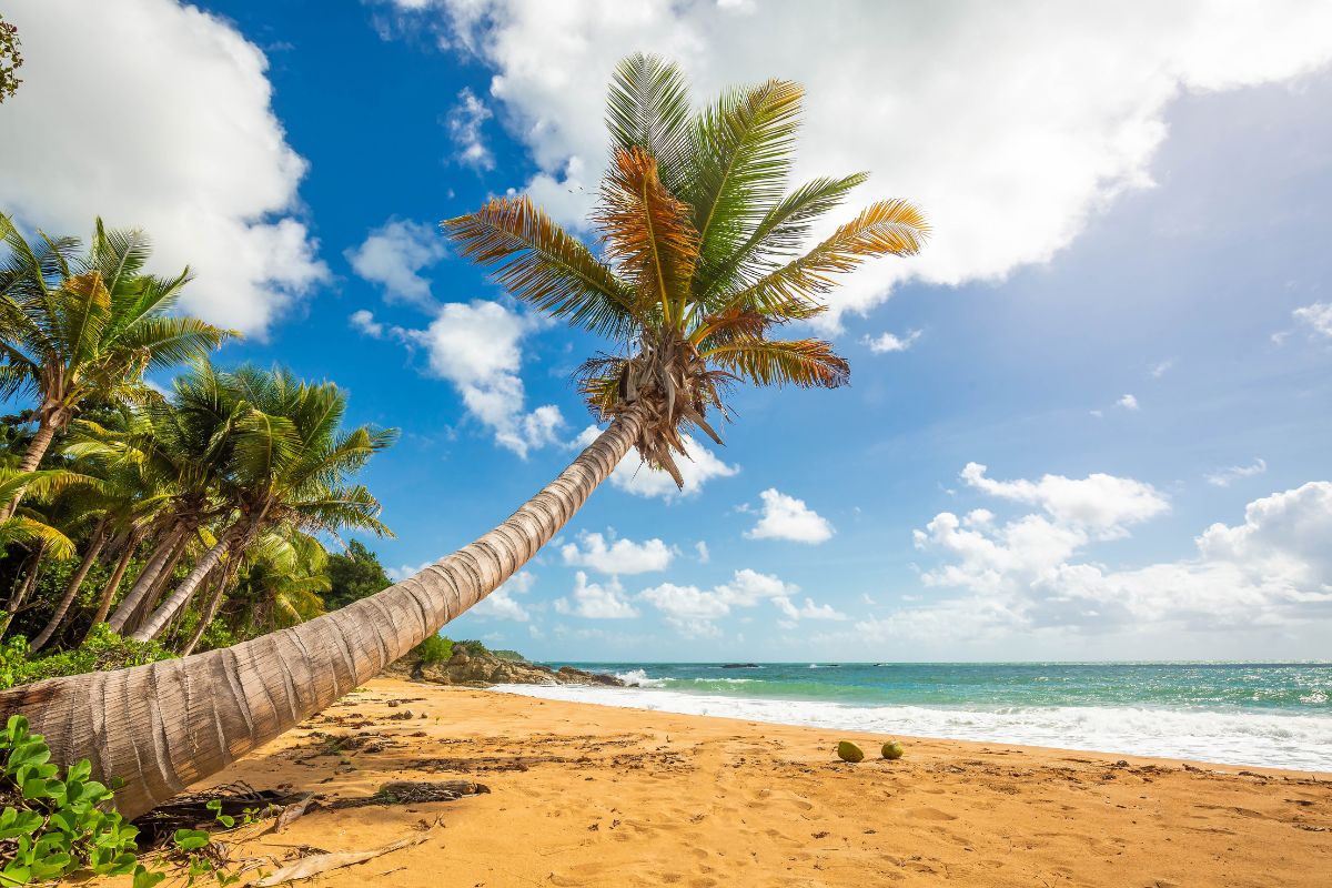 Flamenco Beach