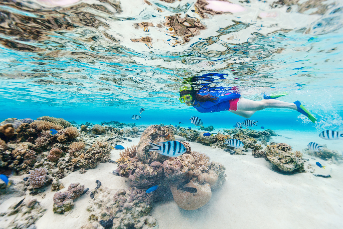 Maldives Snorkeling