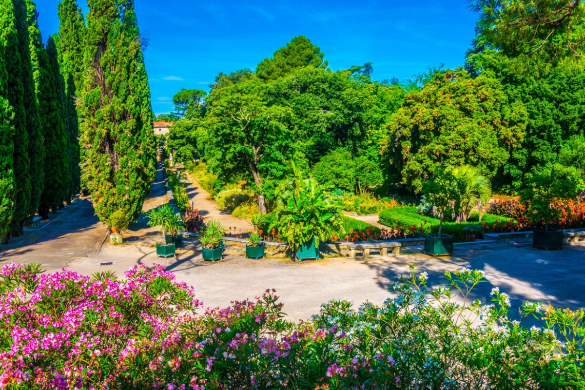 Jardin des Plantes, Montpellier