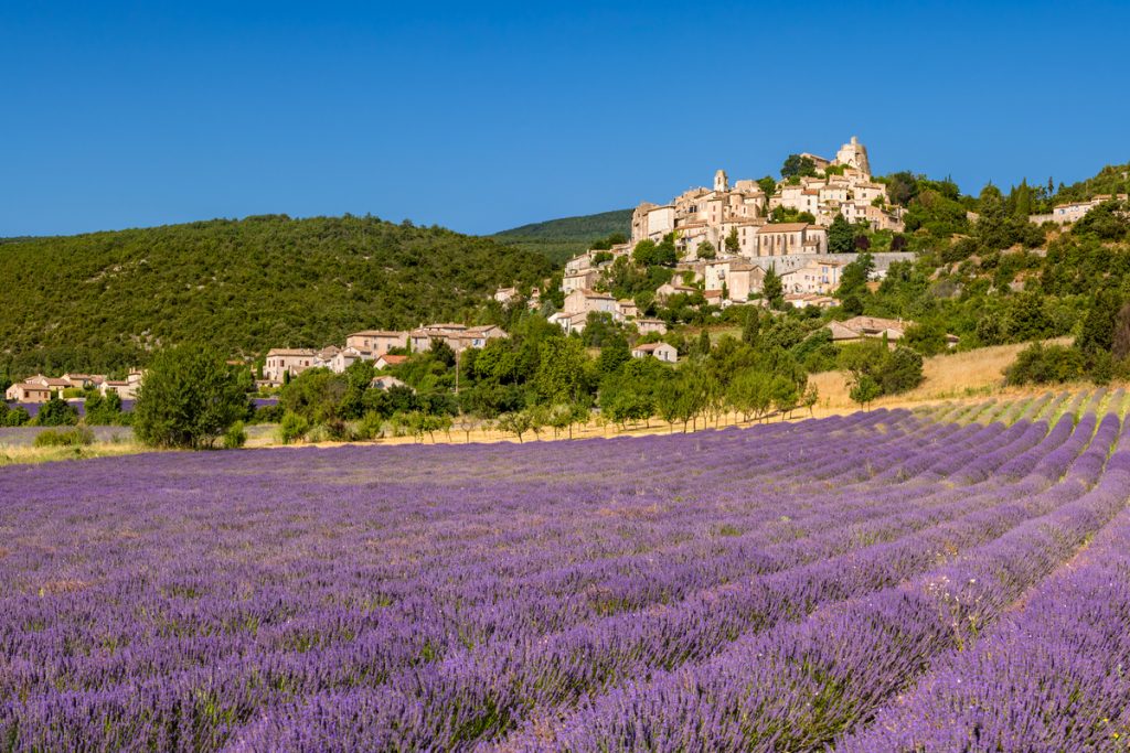 provence