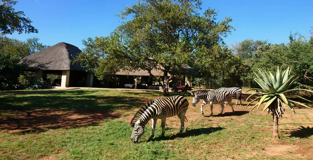 Royal Kruger Nature Lodge 4*