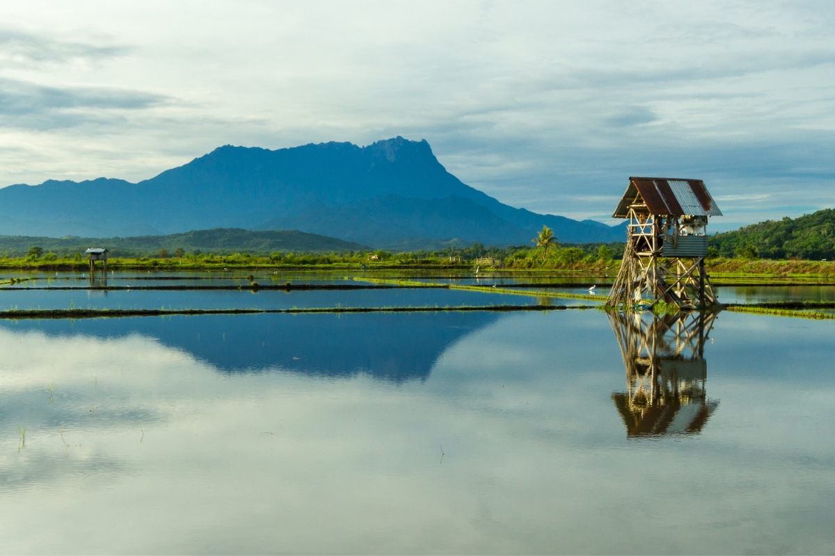 Borneo