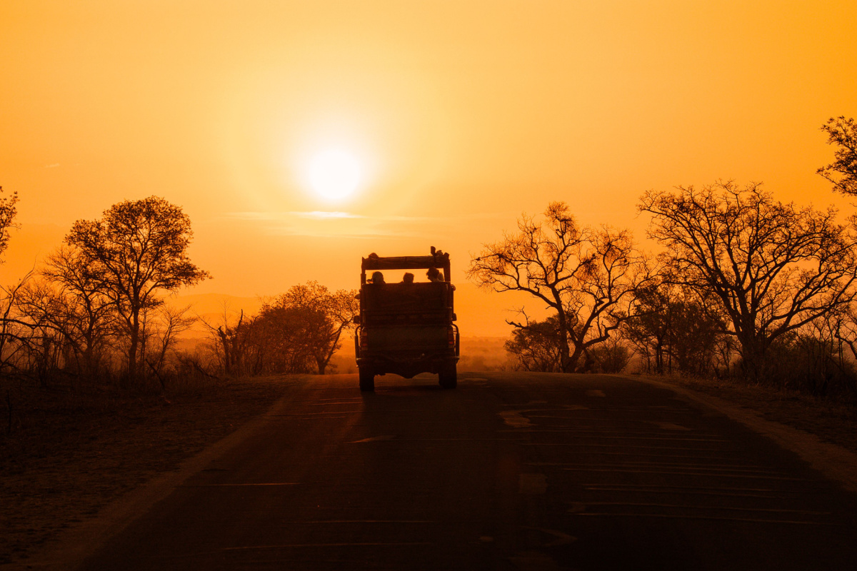 Safari Parc Kruger