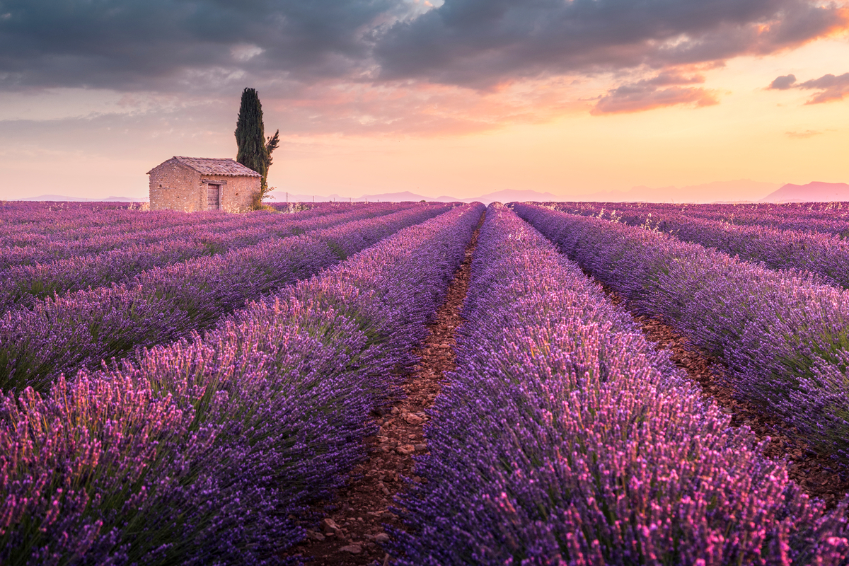 Provence