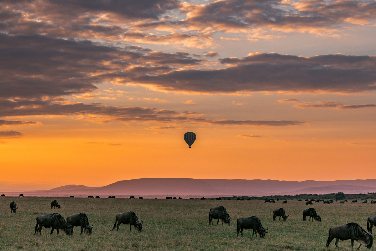 tanzanie