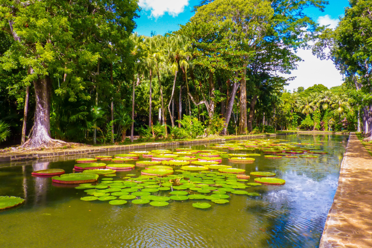 Jardin Botanique de Pamplemousses