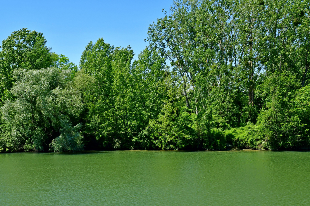 Rives de l'Oise