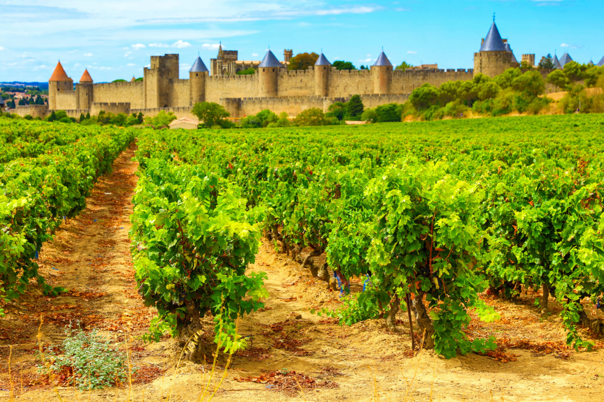 Vignobles Carcassonne