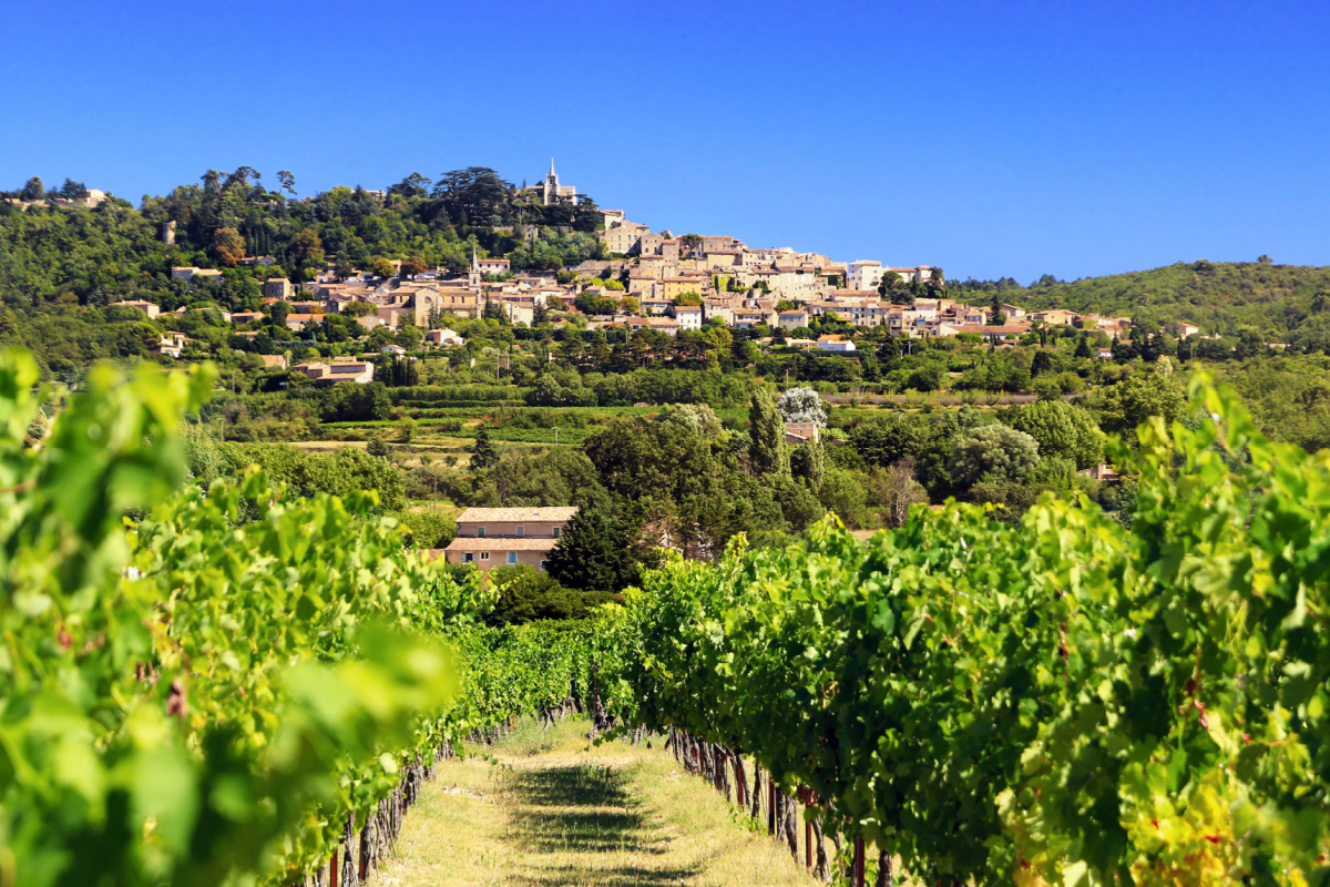 Vignobles du Luberon