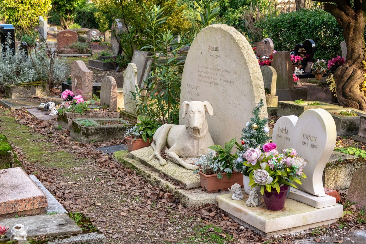 Cimetiere des chiens