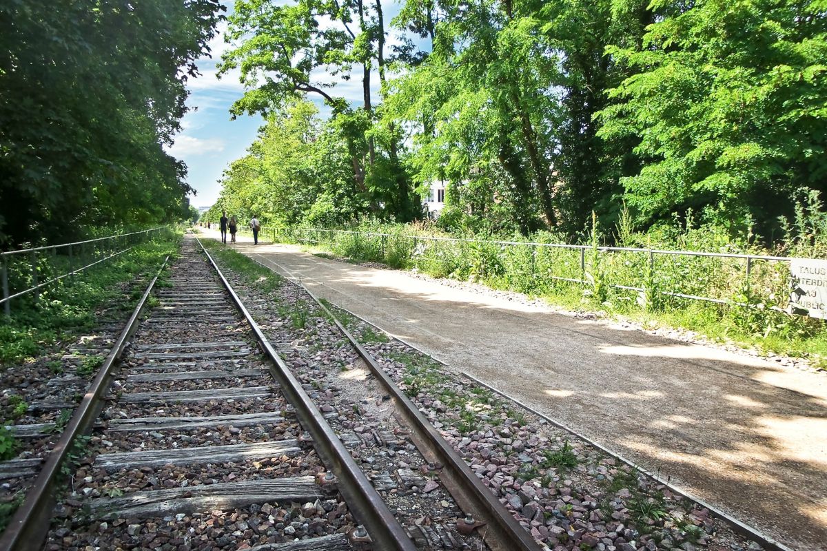 Petite Ceinture paris