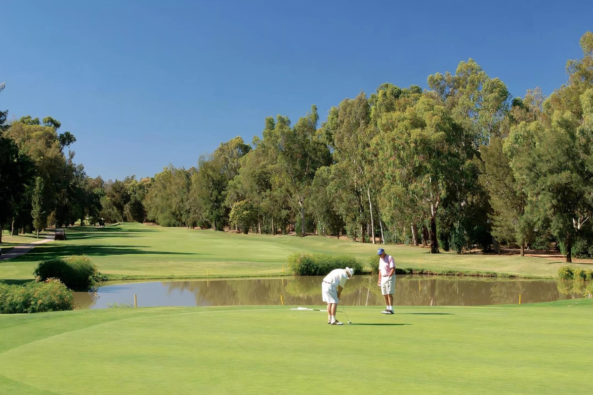 Hôtels de Luxe avec Parcours de Golf