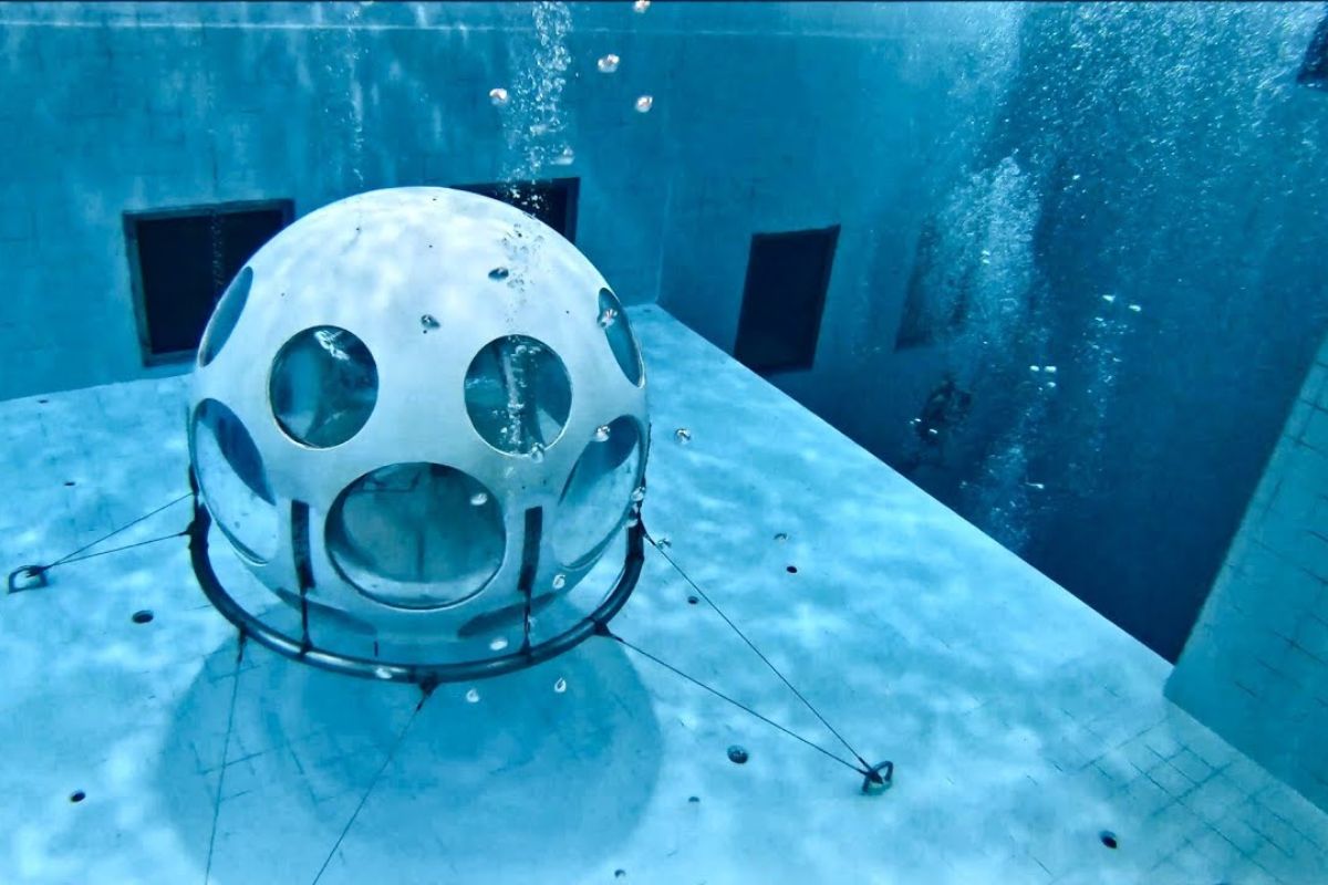 Nemo 33