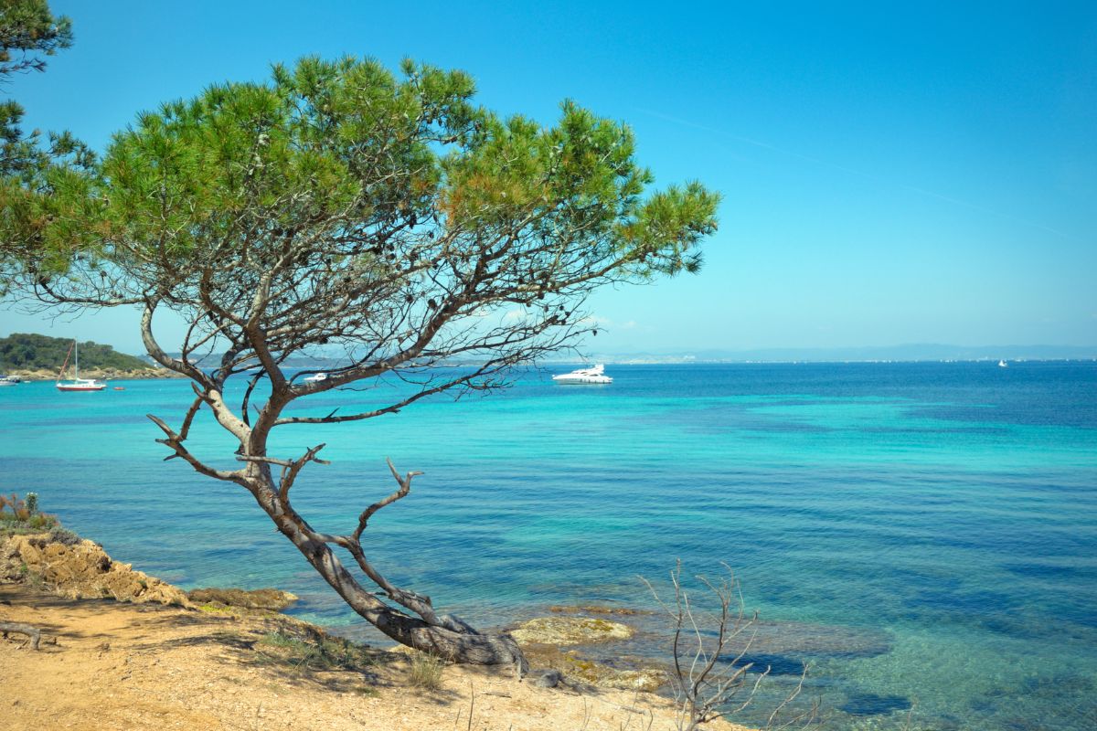 Côté mer : Les plages