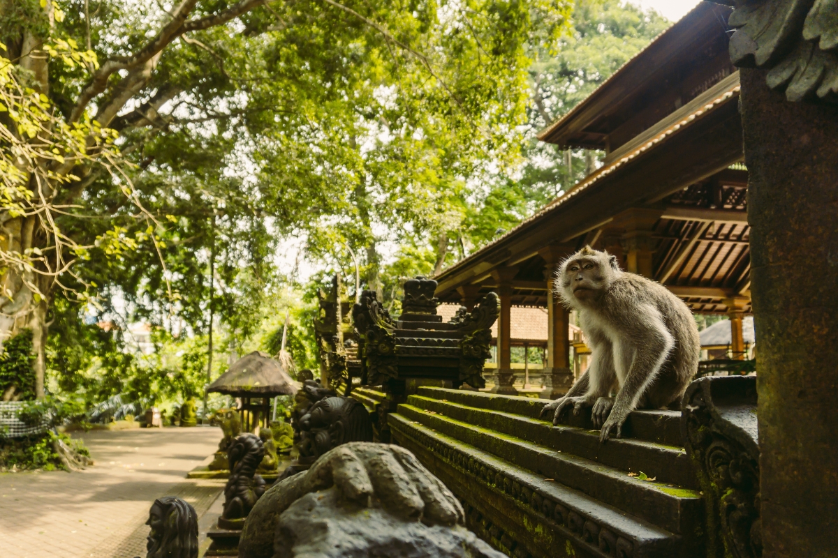 top 7 des endroits à voir à Bali