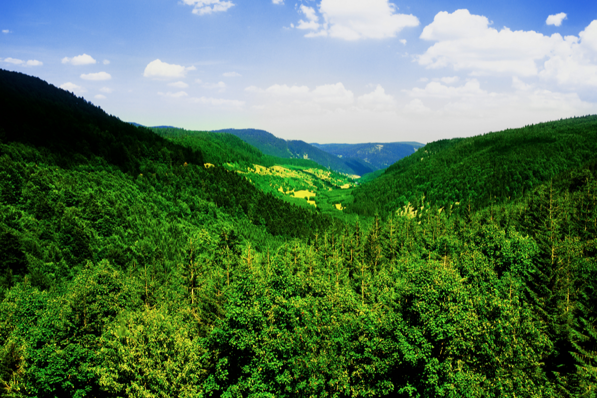 que-faire-dans-les-vosges