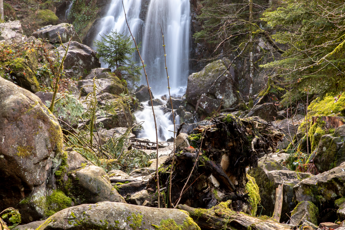 que-faire-dans-les-vosges