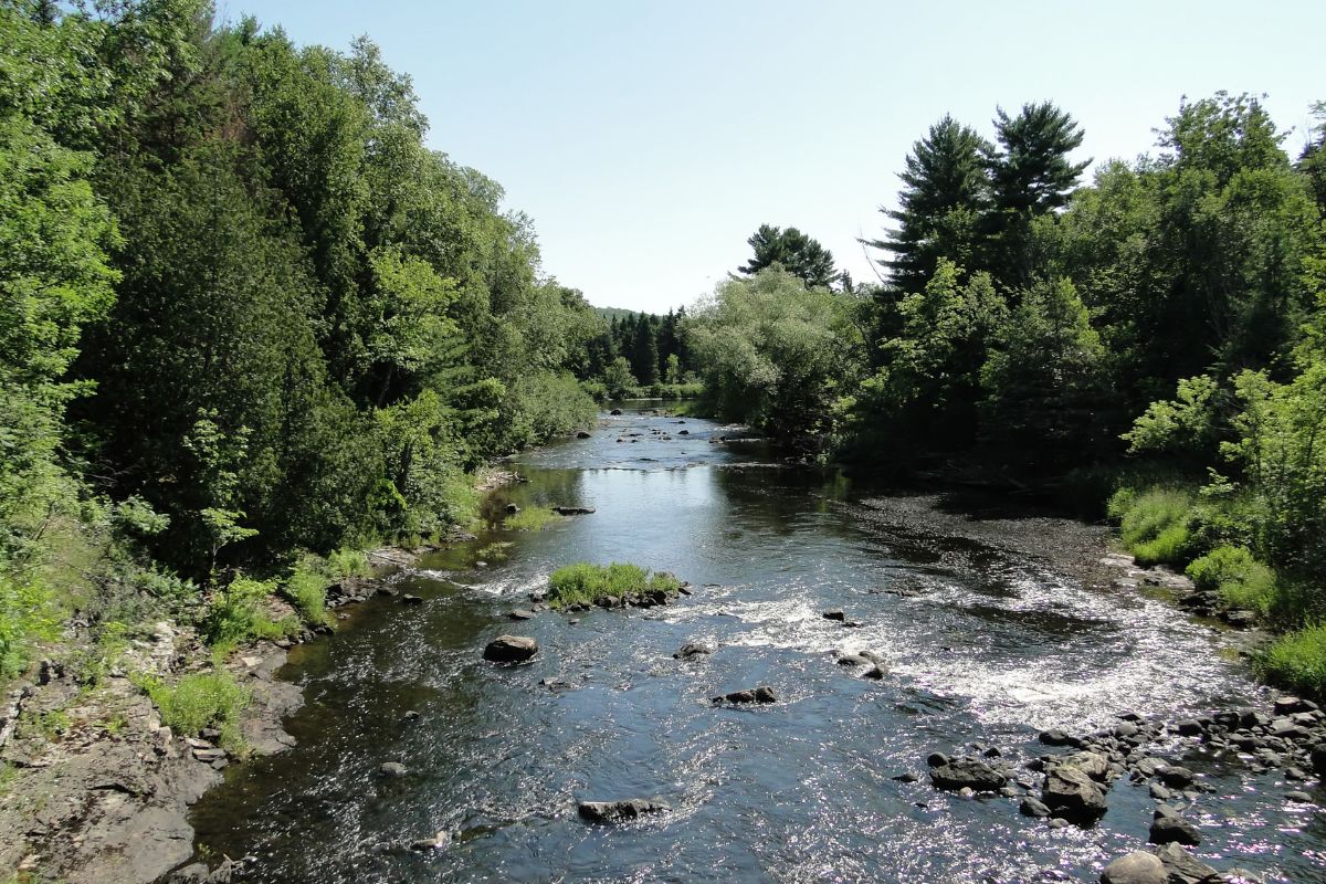 Rivière du loup