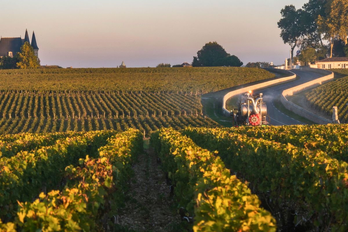 Vignobles de Bordeaux