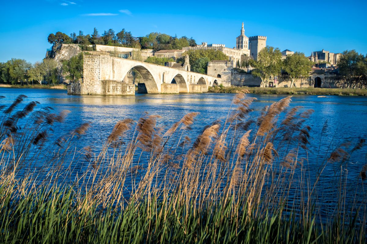 Avignon