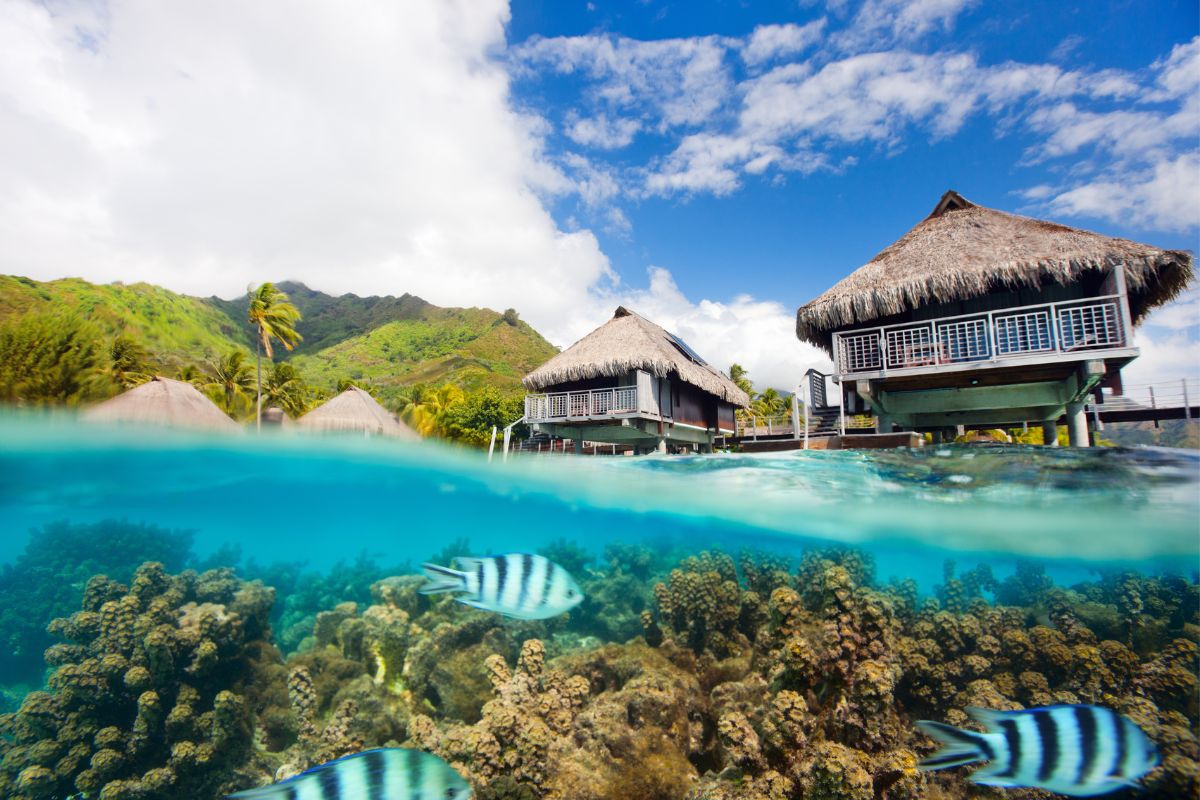 Moorea