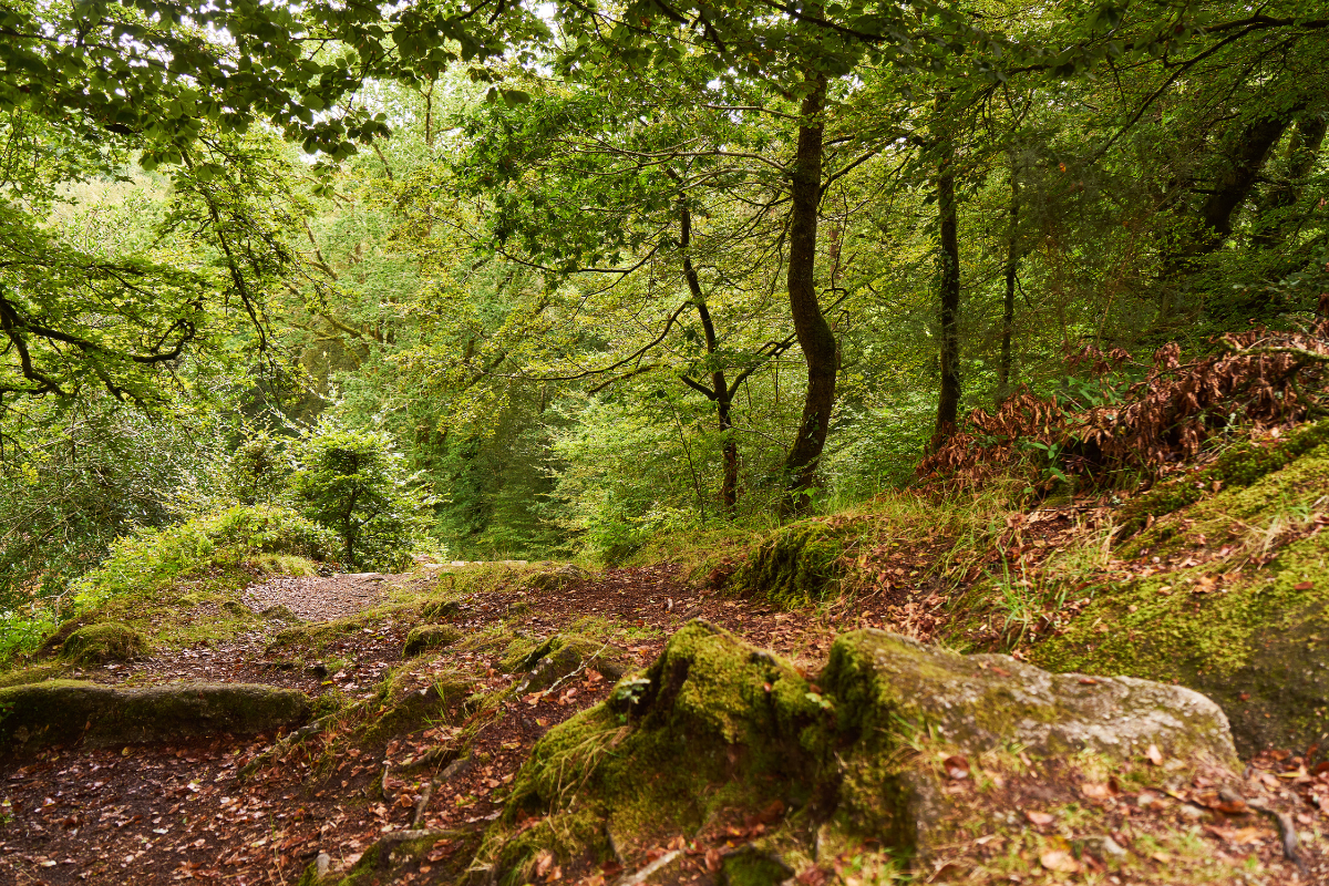 que-faire-finistere