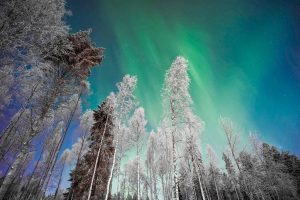 Voyage en Laponie à Noël : Explorez les tarifs et les lieux incontournables à visiter !