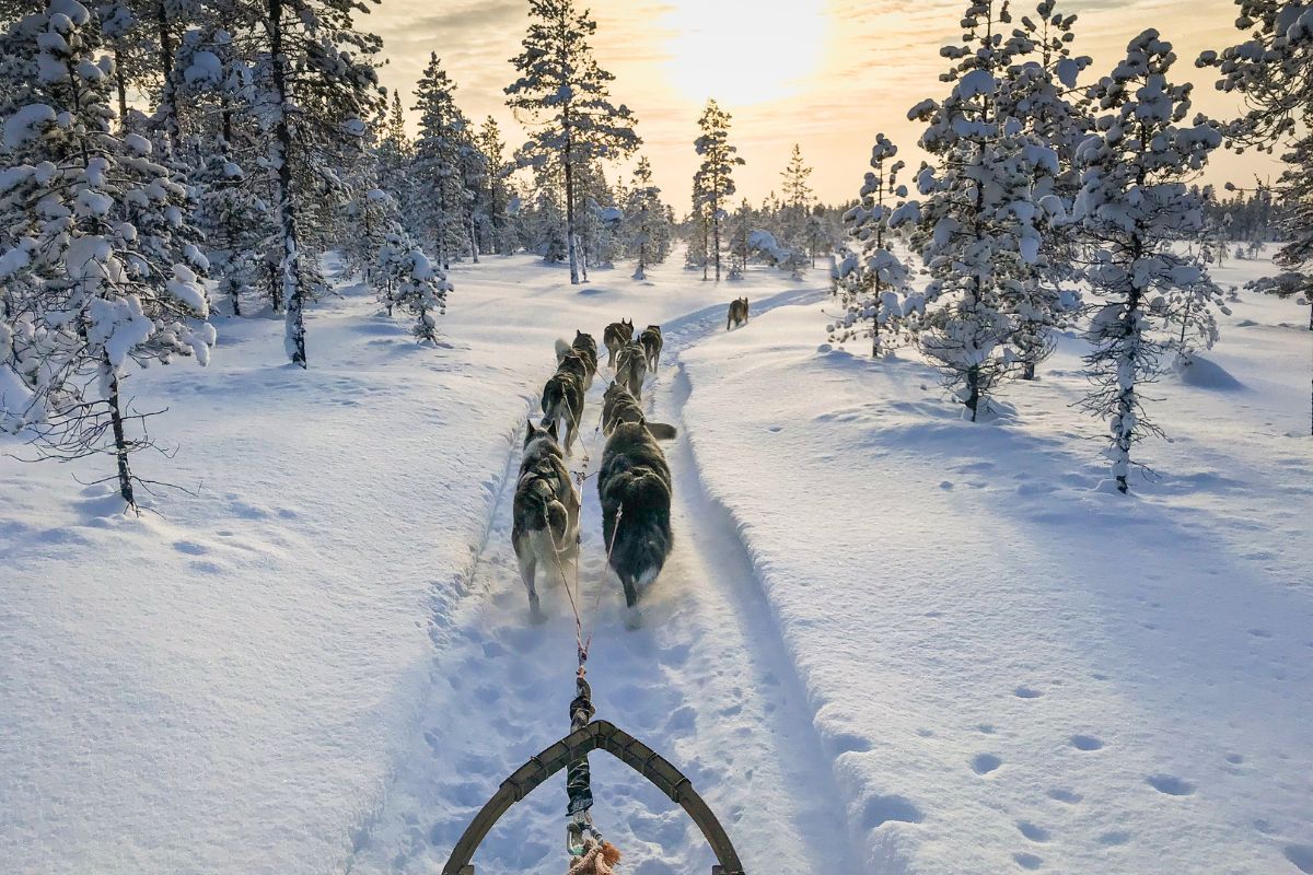 Voyage en Laponie à Noël : Explorez les tarifs et les lieux incontournables à visiter ! 