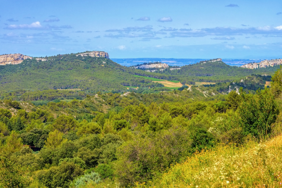 que-faire-bouche-du-rhone