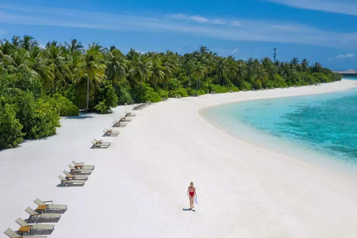 Cocoon Maldives