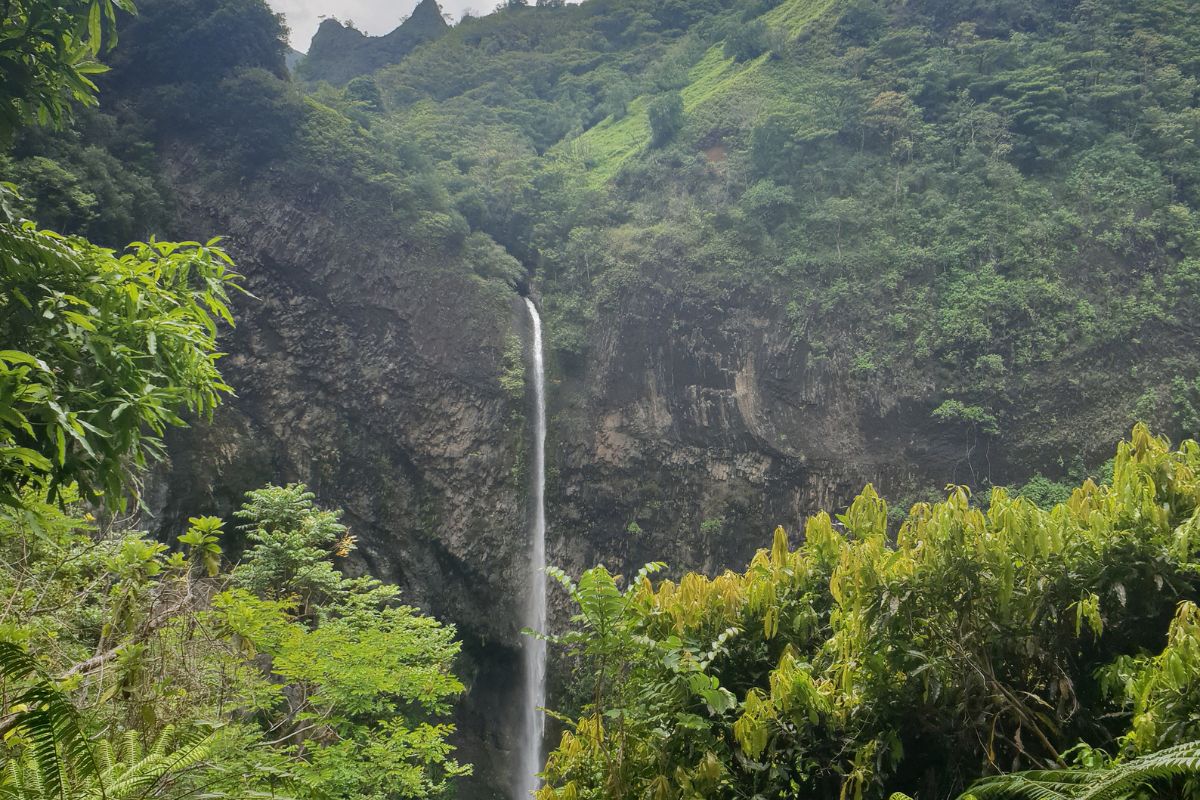 Tahiti pluie