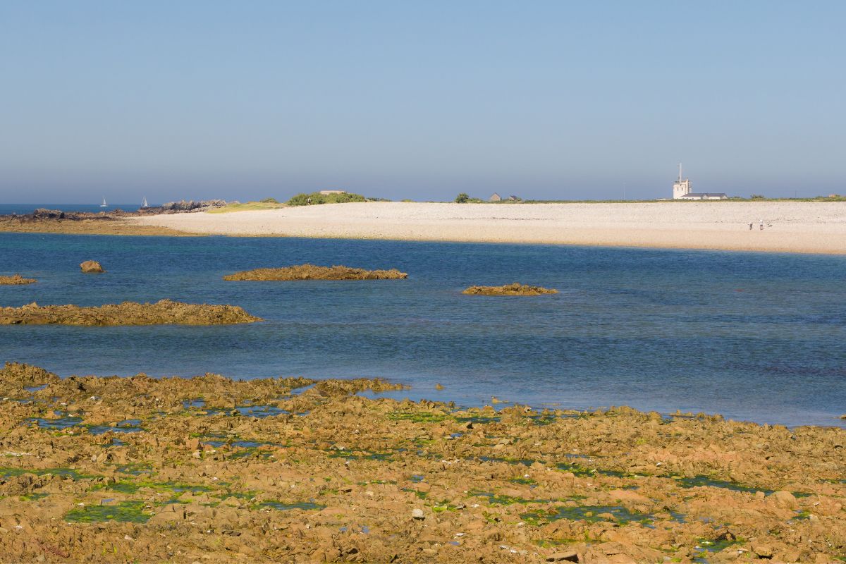 marais du Cotentin