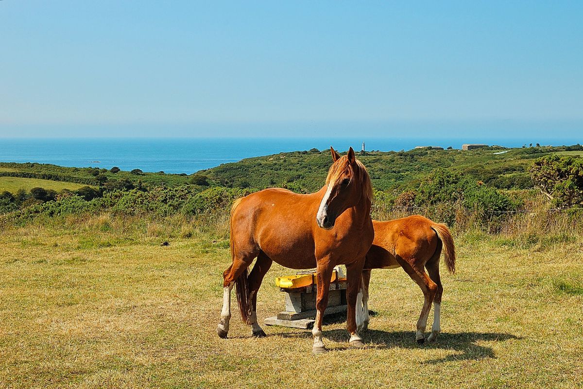 Plus beaux endroits du cotentin