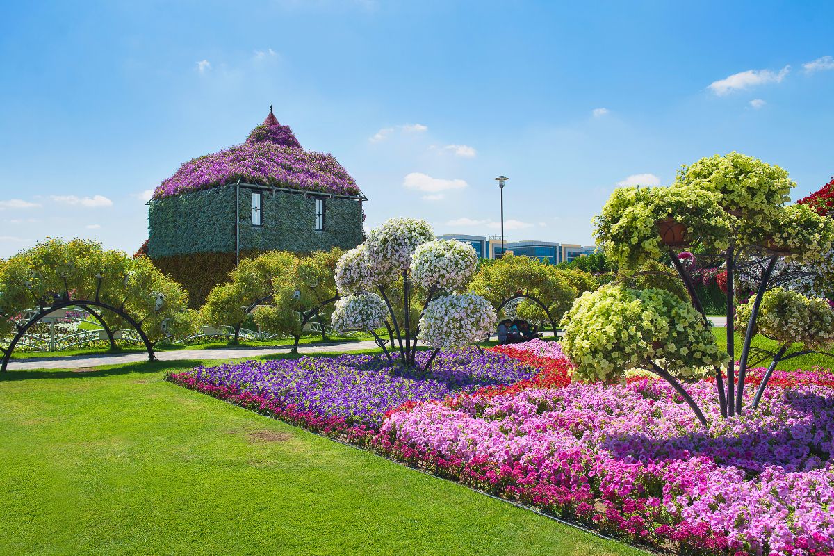 Dubai Miracle Garden