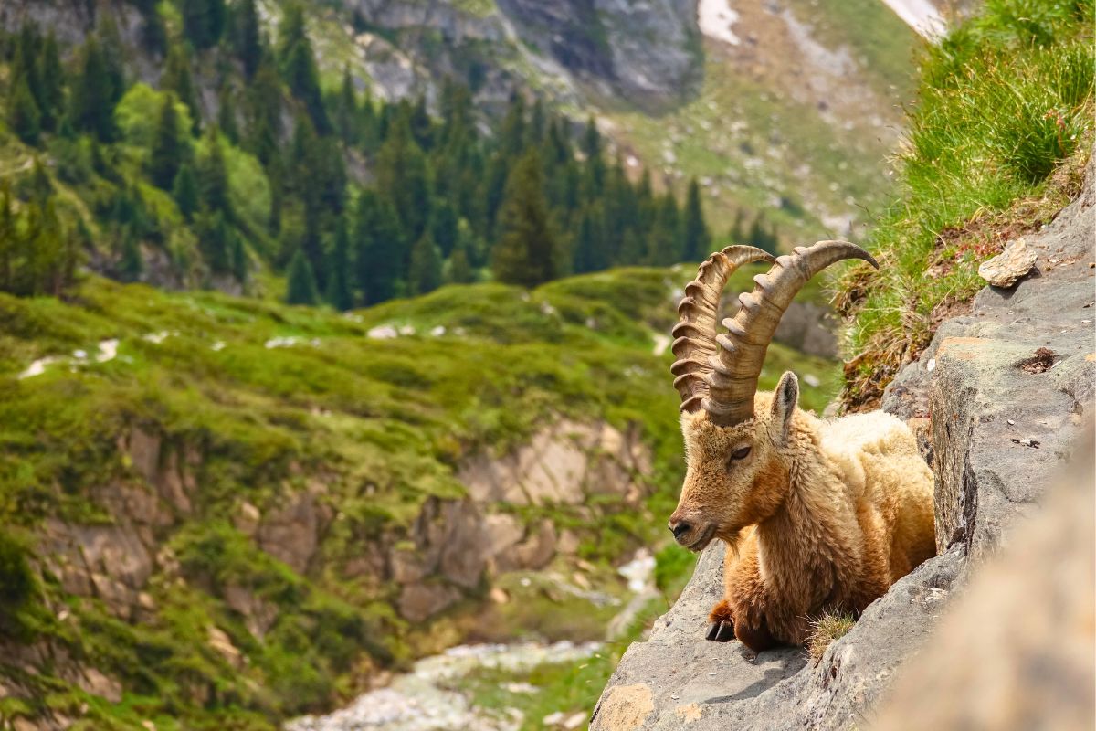 La Vanoise