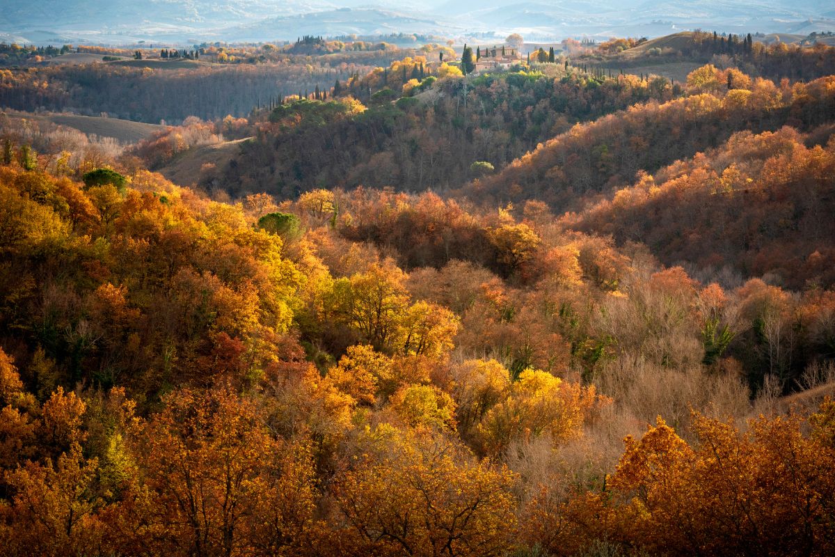 Les 10 Meilleures Destinations de voyage pour profiter des Magnifiques couleurs Automnales