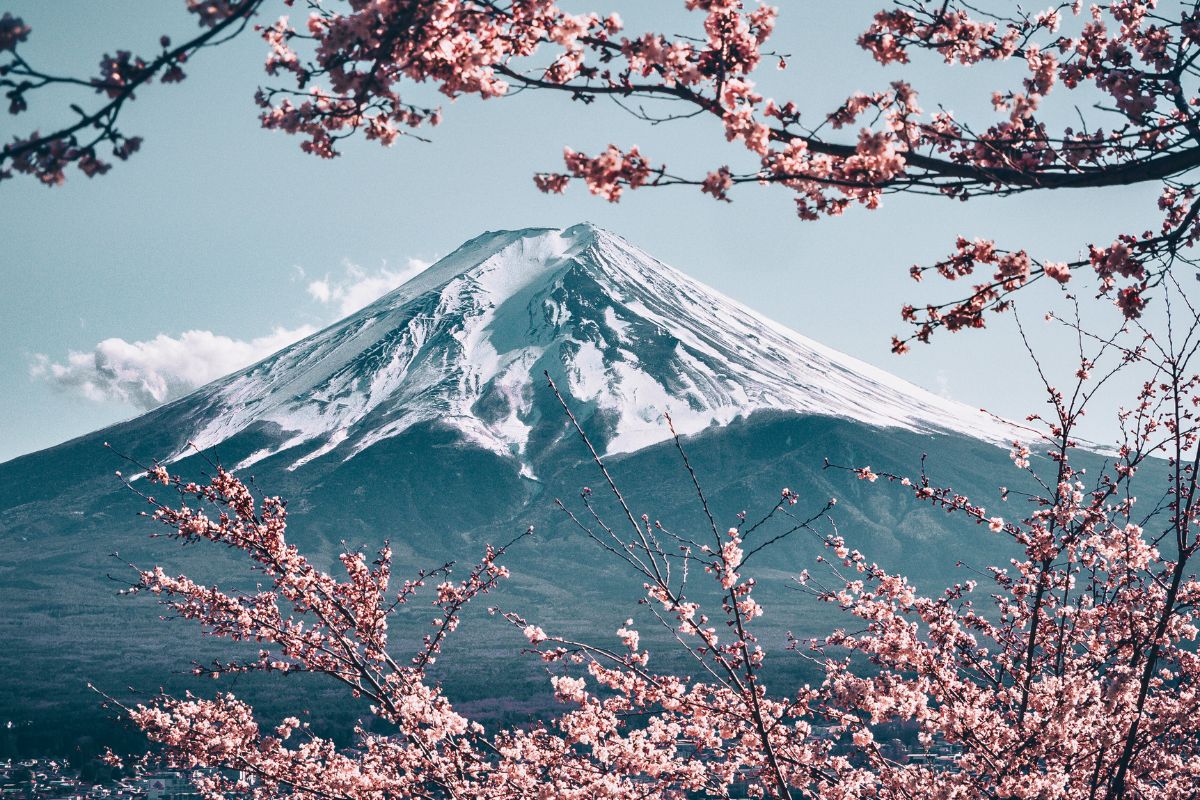 Les 10 incontournables du Japon : Découvrez l'excellence et le raffinement de ces lieux uniques