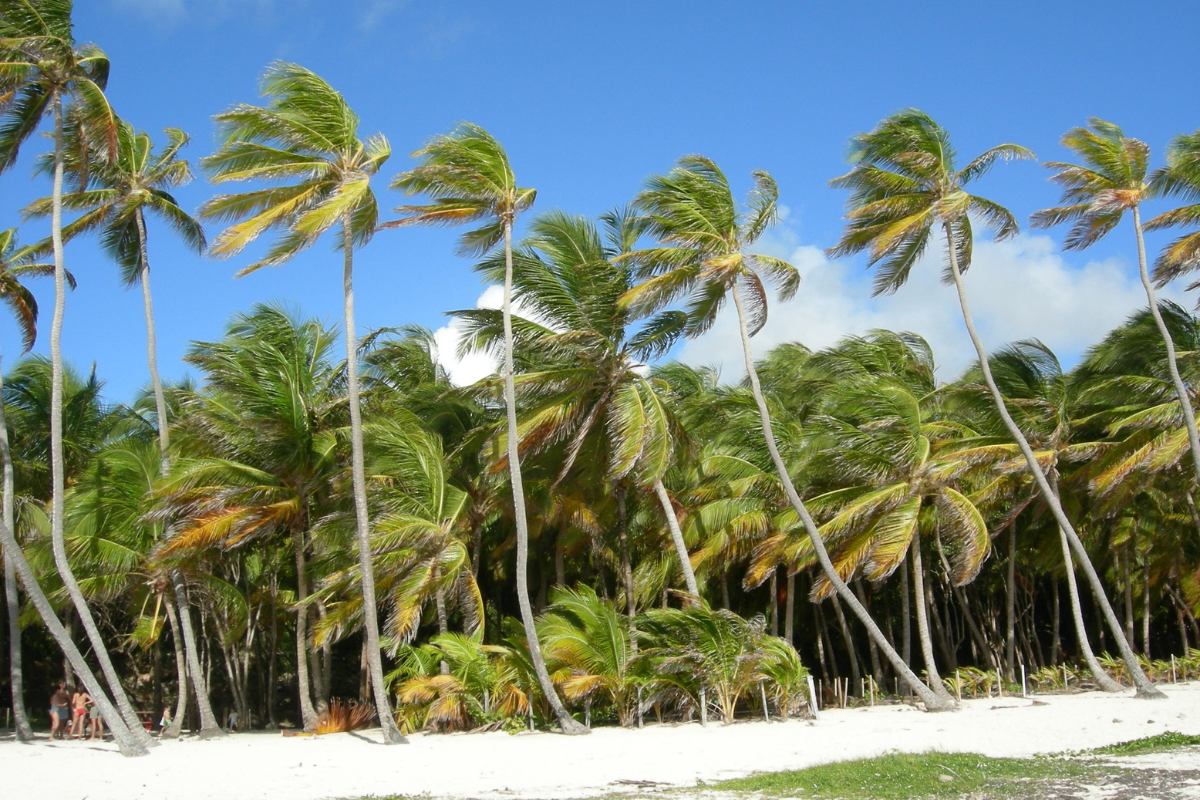 martinique