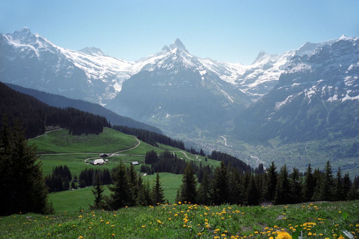 restaurant-alpes