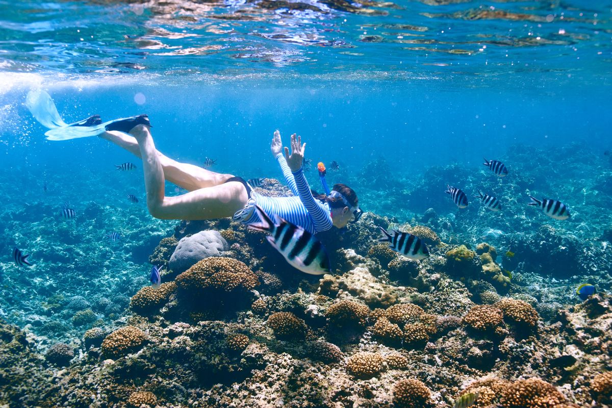 snorkeling fidji