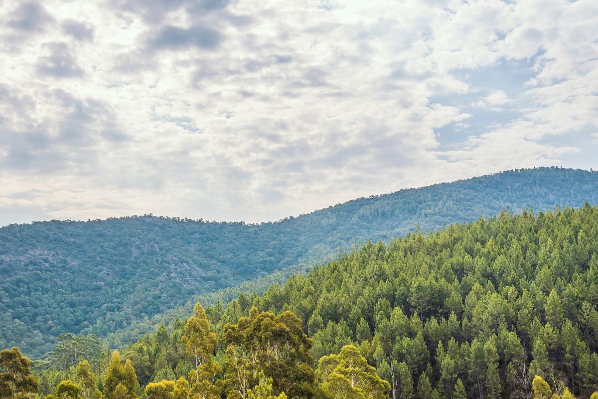 Massif des Maures