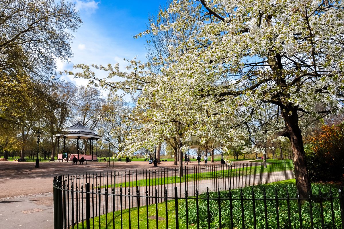 Parc à londres