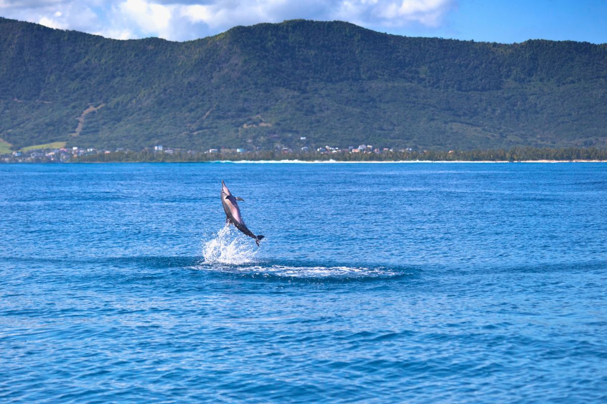 Le Top 10 des activités inoubliables à l'Île Maurice