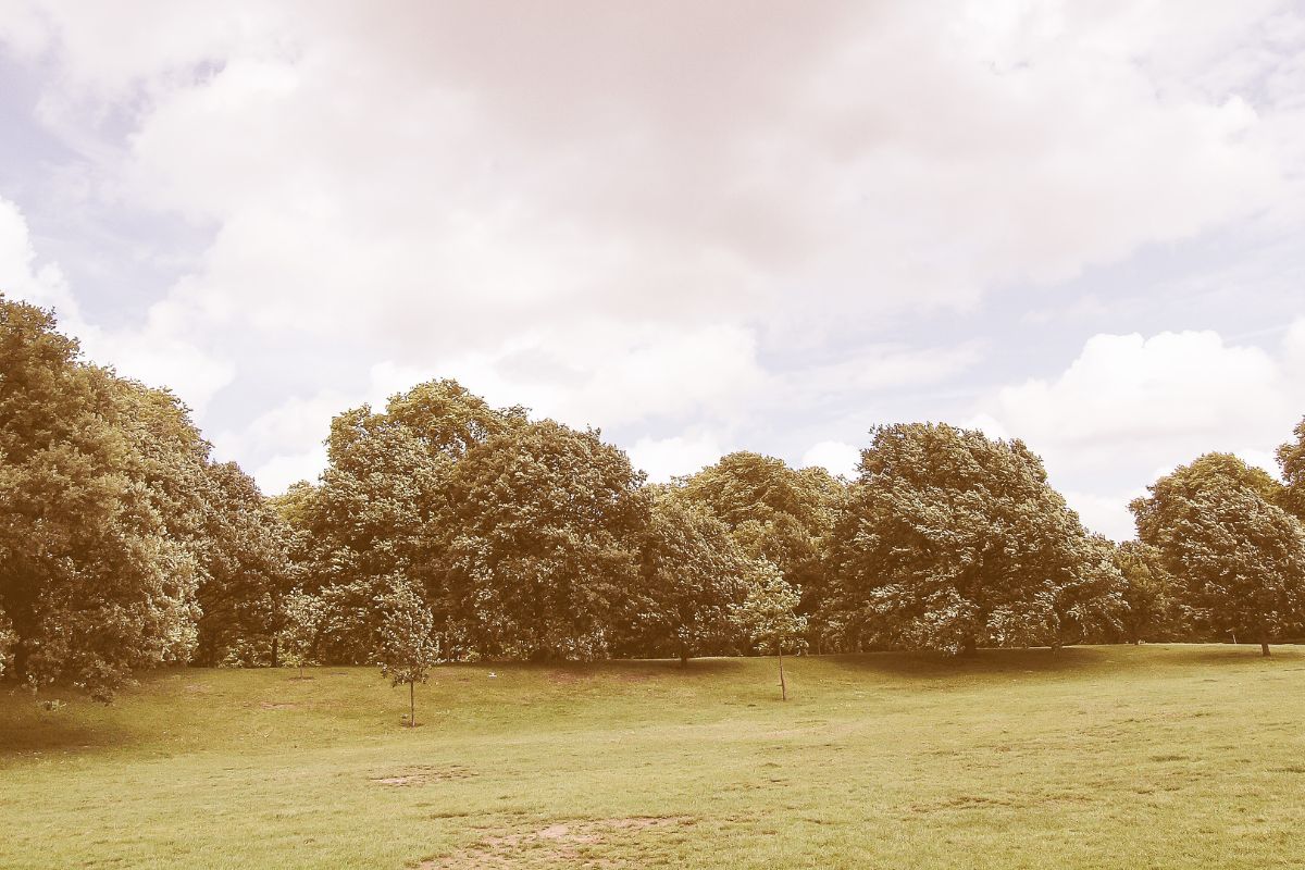 Parc à londres