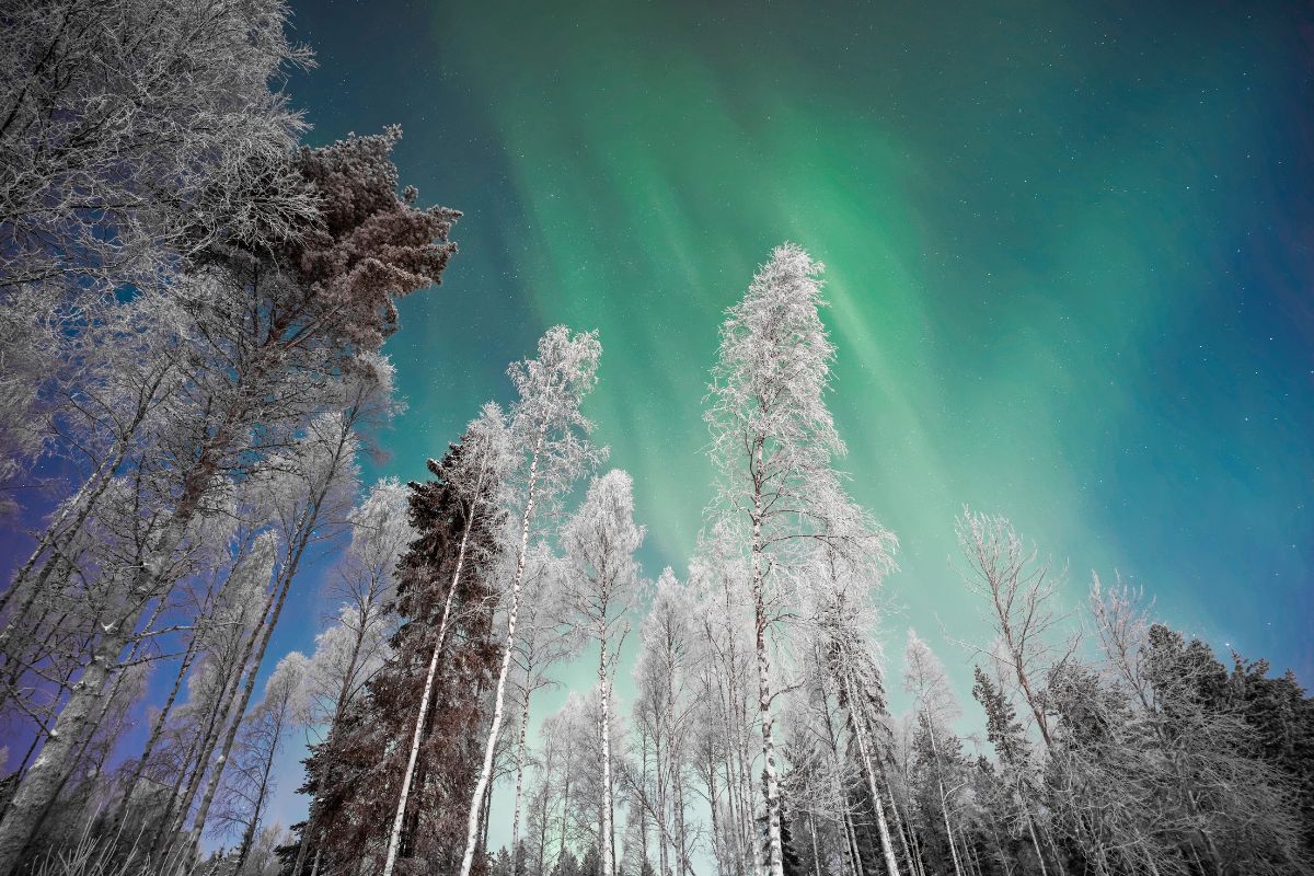 Les 7 plus beaux hôtels de luxe en Laponie pour un séjour de Noël exceptionnel