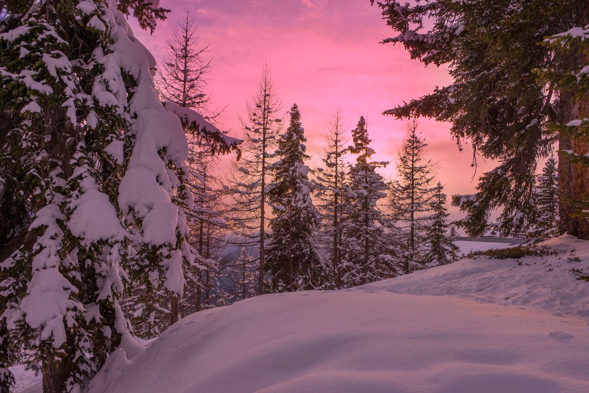 Les 7 plus beaux hôtels de luxe en Laponie pour un séjour de Noël exceptionnel